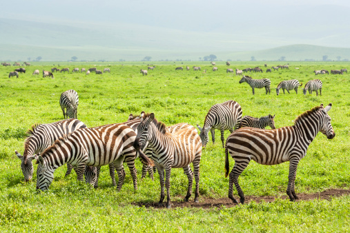 Nakuru