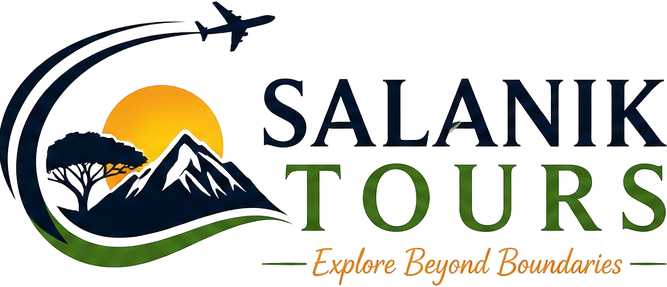Salanik logo