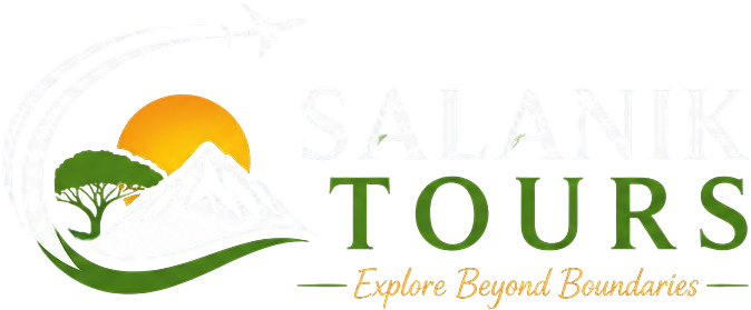 Salanik Tours Company Limited logo